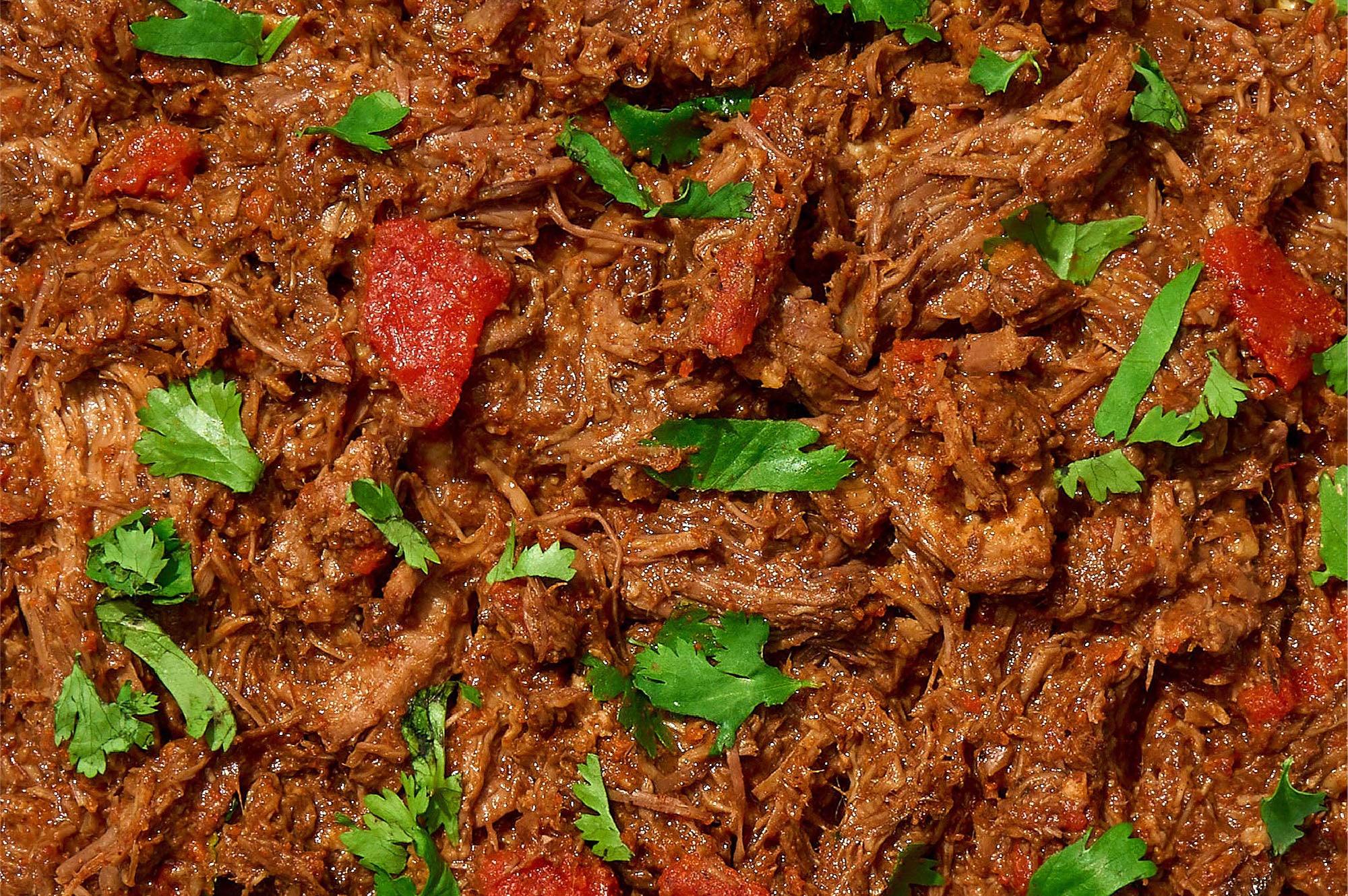 Birria Beef - Image 2
